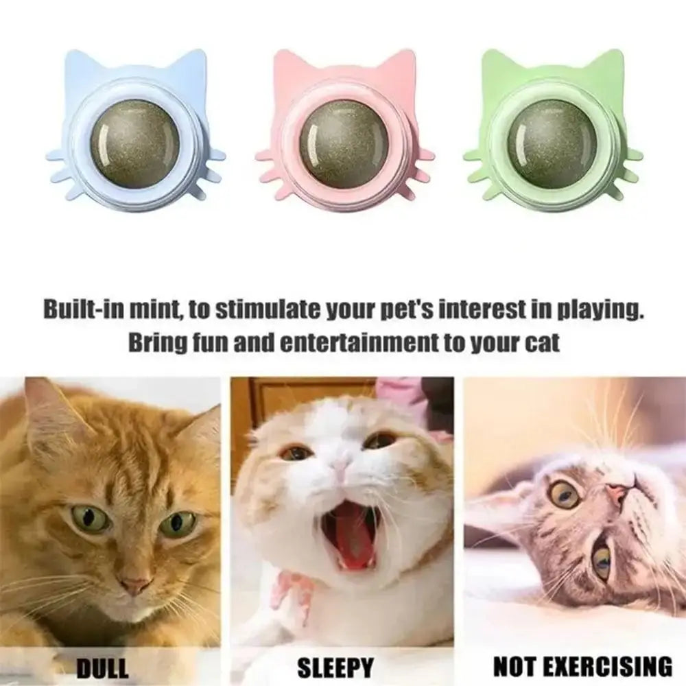 2024 Rotatable Catnip Ball Healthy Promote Digestion Cat Ball Natural Sugar Licking Cat Wall Stick-on Oasis Select