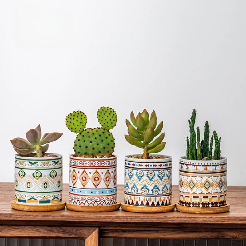 Circular geometric ceramic flower pot simple balcony garden succulent plant Phalaenopsis flower pot Oasis Select