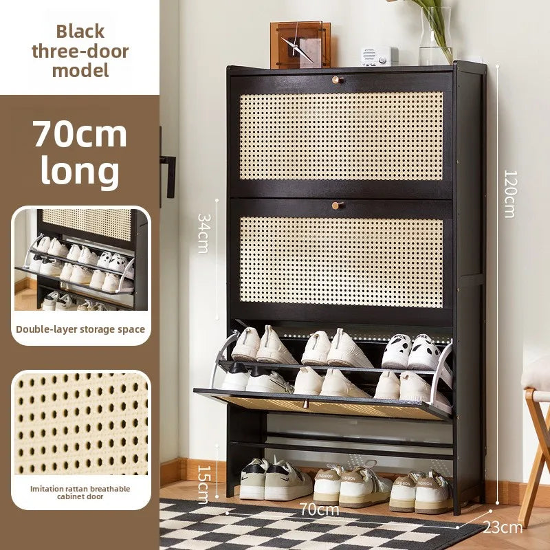 Household shoe cabinet door economical simple modern storage cabinet narrow large capacity tipping bucket small shoe rack Oasis Select Double 3-70