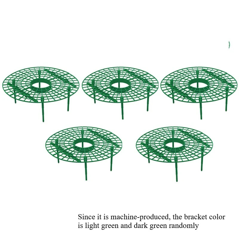 5/10pcs Green Strawberry Planting Rack with 3 Sturdy Stands Versatile Plant for Berries and Small Plants Plant Stand Oasis Select 5pcs