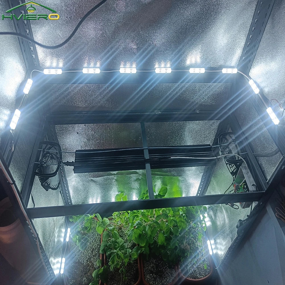 20-Pack 5054 SMD 12V Waterproof LED Modules – Home & Garden