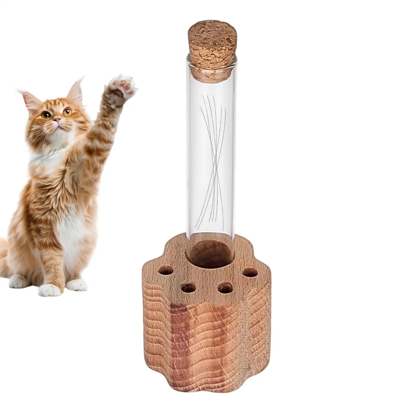 Transparent Glass Loss Of Pet Sympathy Keepsake Cat Whisker Jar Cat Whisker Collection for Women Men Adults Father Mother Friend Oasis Select