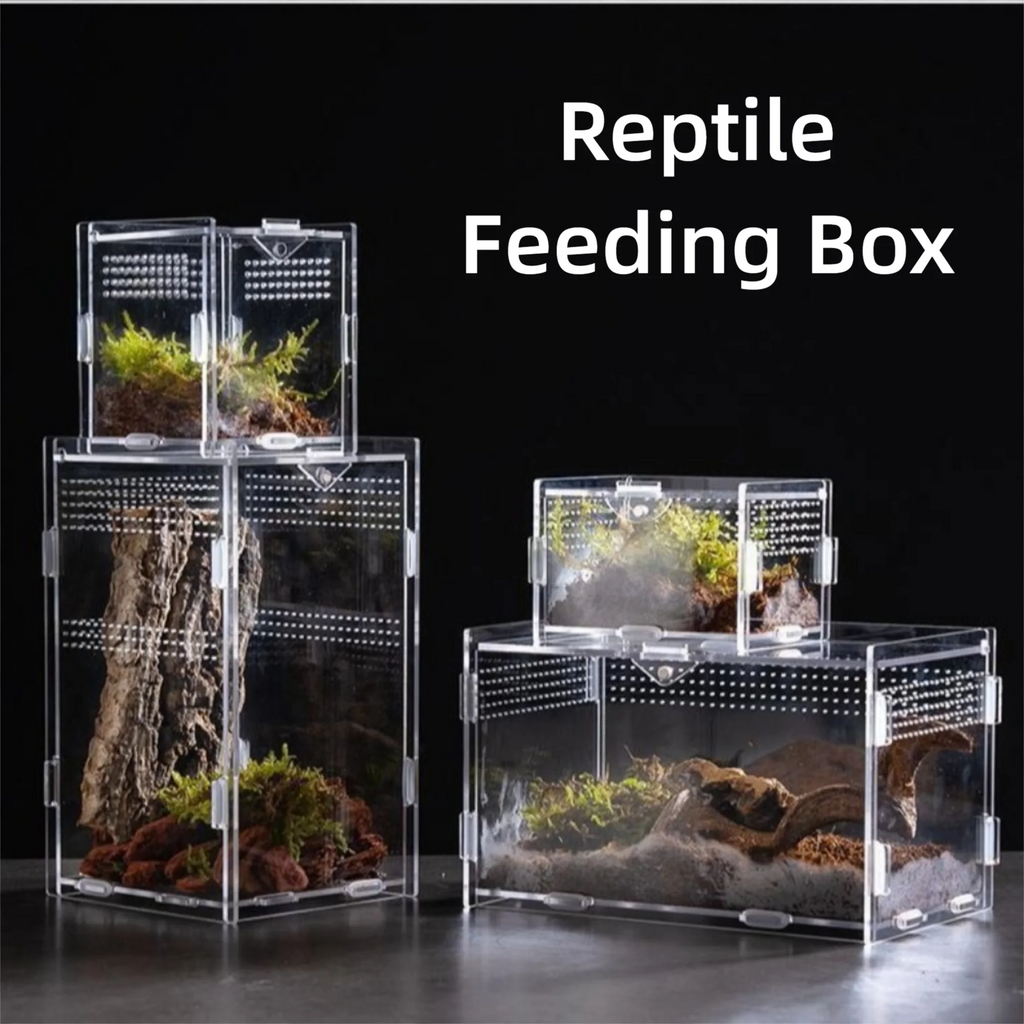 Durable Acrylic Reptile Habitat Clear Multiple Size Spider Feeding Case Arboreal Anti-Escape Lizard Breeding Box for Chameleon Oasis Select