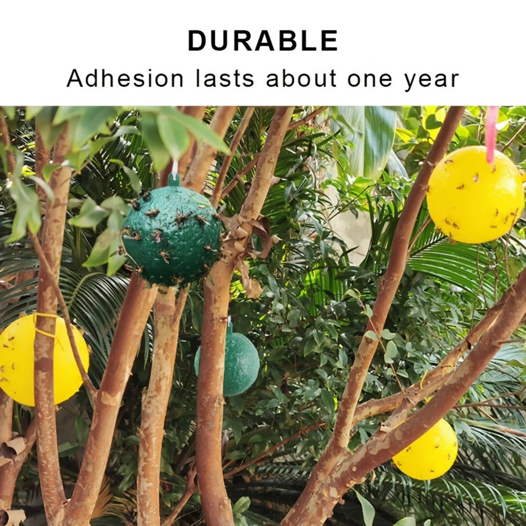 Waterproof Dual Color Fly Catching Ball Visual Attraction Design Durable Adhesive Orb Trap Wandering Winged Pests Practical Farm Oasis Select