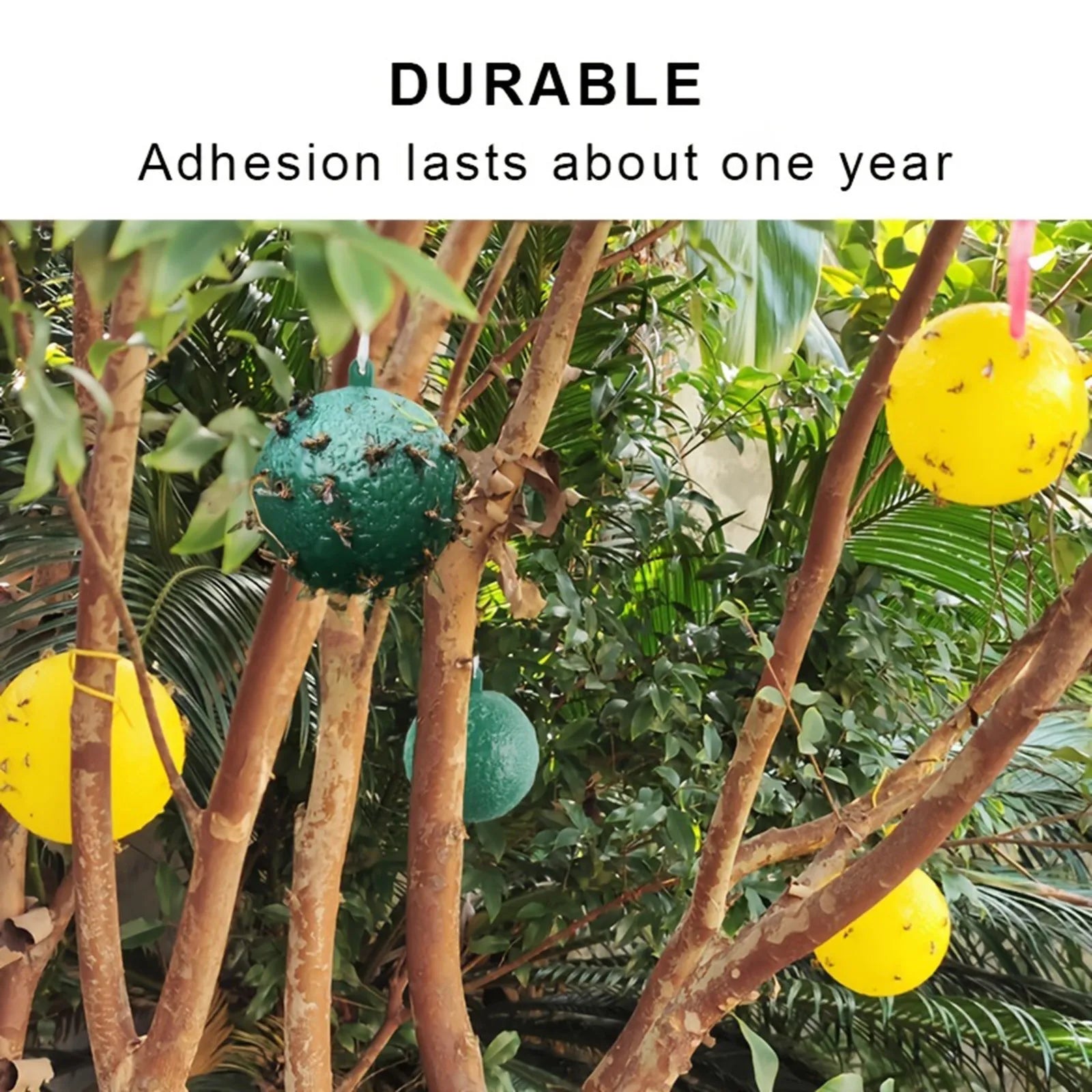 Waterproof Dual Color Fly Catching Ball Visual Attraction Design Durable Adhesive Orb Trap Wandering Winged Pests Practical Farm Oasis Select