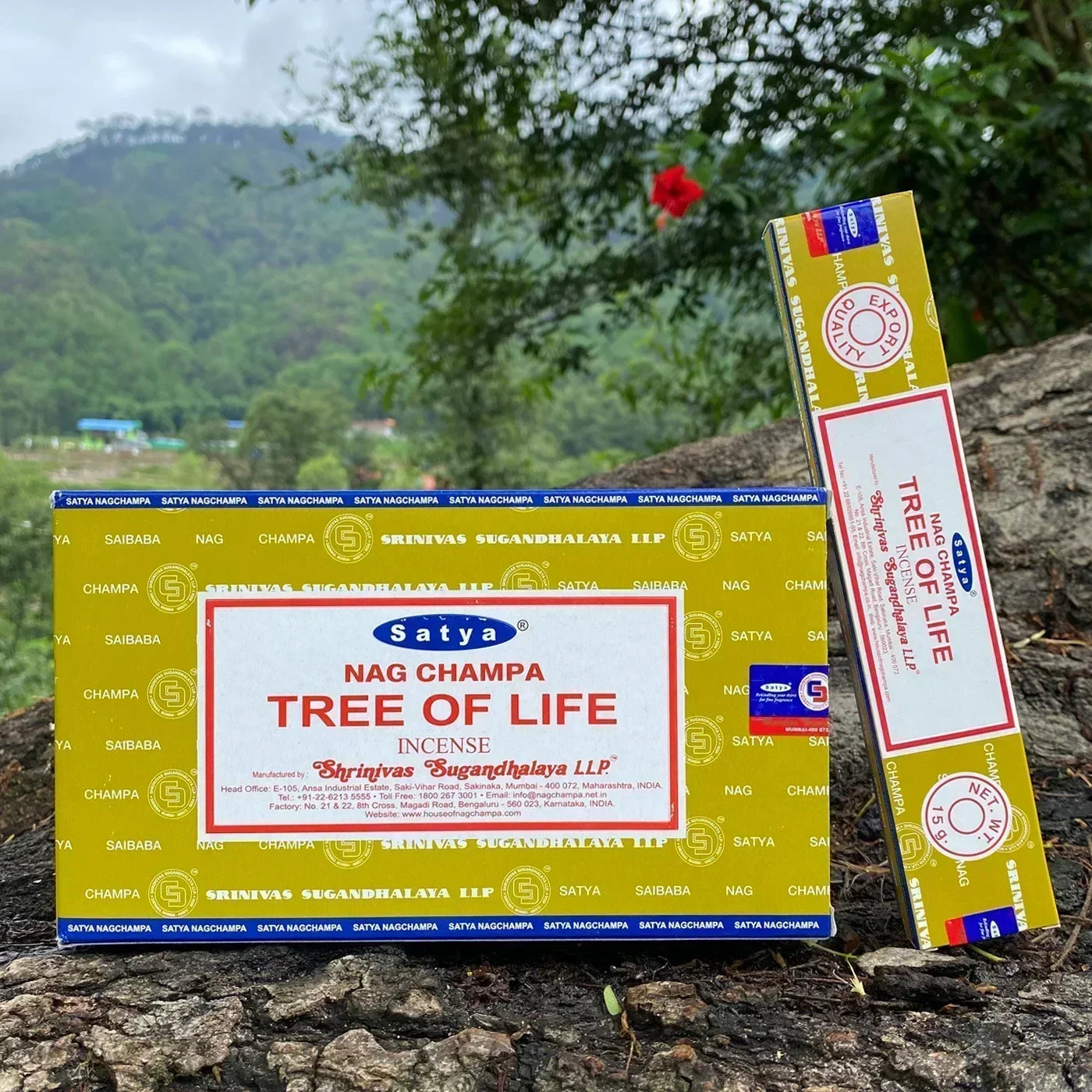 6/12boxes Dragon‘s Blood Incense Sticks Sleeping Aiding Tranquilize Mind Refreshing Scent Home Office Natural Sandalwood Satya Oasis Select TREE OF LIFE 12 small boxex