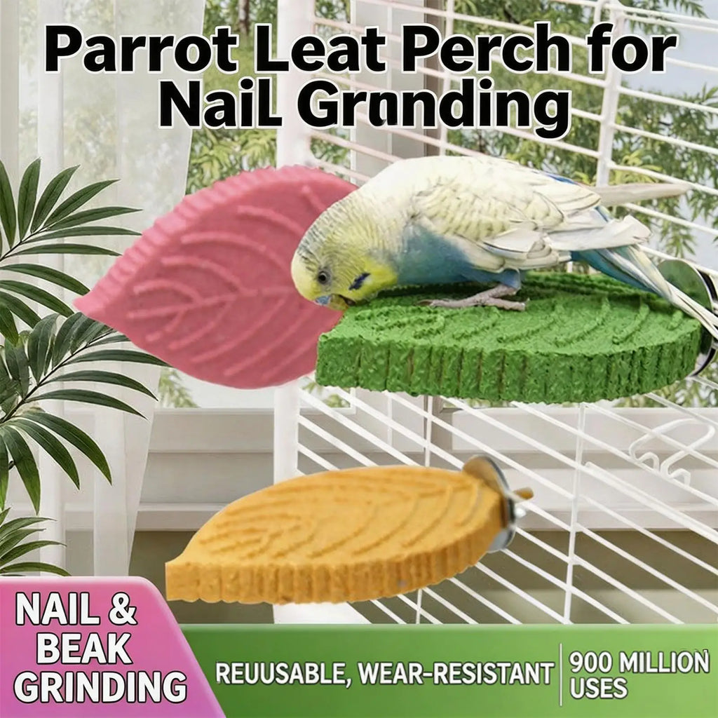 Cockatiel Perch Parrot Stand Toys Resin Bird Hamster Perch Platforms Stands Playground Bird Supplies Bird Cage Accessories Perch Oasis Select