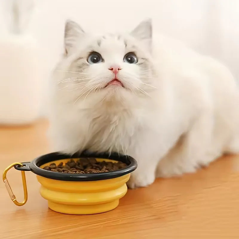 Portable Dog Bowl with Telescopic and Folding Design Suitable for Pets Including Food and Water Suitable for Outdoor Use Oasis Select