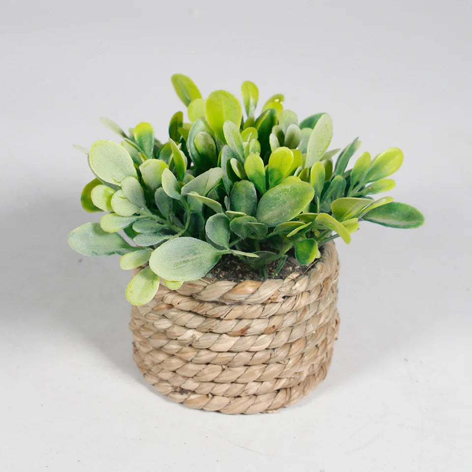 Green Artificial Potted Plant Eucalyptus Grass 11cm Simulated Potted Plants Woven Plastic Leaf Artificial Plants Home Decor Oasis Select 02