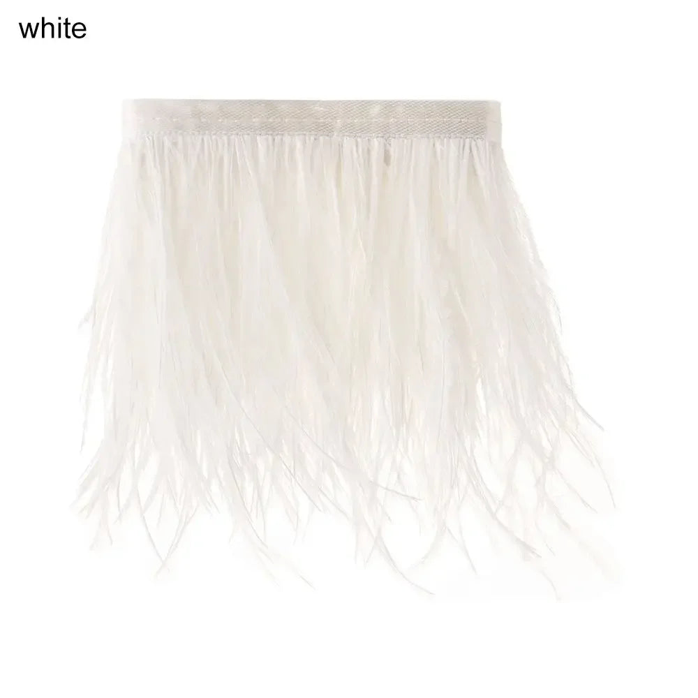 Fashion Ostrich Feathers Trim 1 Meter Long 8-10 CM Wide Plumes Ribbon Selvage DIY Dress Crafts Accessories Feathers Ribbon Oasis Select white