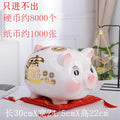 Home Big Money Box Piggy Banks Children Coin Piggy Bank Molds Cute Box Money Boxes Mistery Coin Jar Atm Spaarpot Children Gifts Oasis Select 14 inch-Only In
