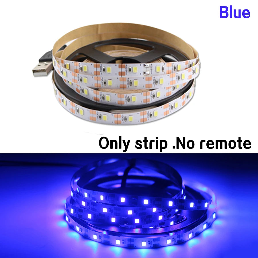 DC5V USB LED Strip Light RGB 2835 Flexible Lamp USB Cable 3 Key Control 5V 0.5M 1M 2M 3M 4M 5M Desk Screen TVBackground Lighting Oasis Select USB Line Blue 3m