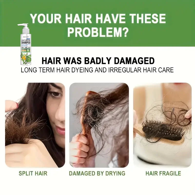 Sulfate-Free Clarifying Shampoo – Tea Tree & Arnica Clarifying Shampoo Oasis Select