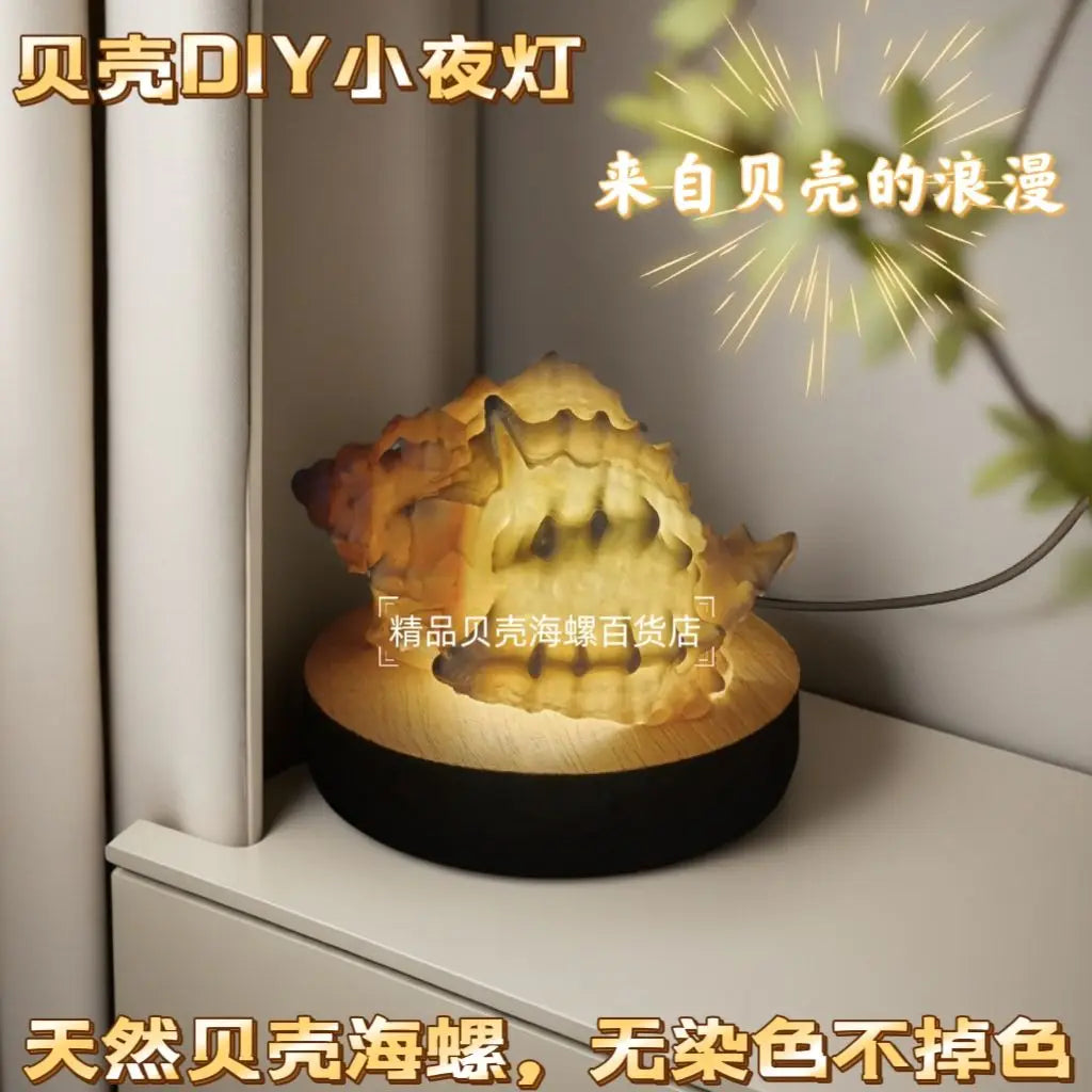 Natural Conch Sea Urchin Shell Mini Night Light Senior Children's Birthday Gift Creative Ornaments Oasis Select Redbone Conch