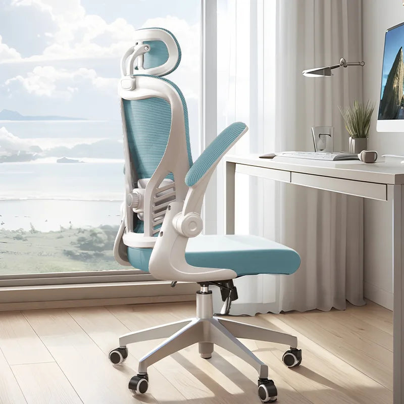 Office Chair Ergonomic Chair Computer Chair Home Study Chair Student Writing Chair Book Desk Chair Oasis Select 2