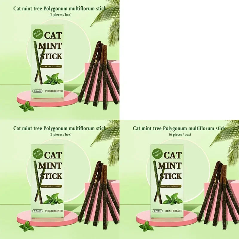 6-24Pcs Natural Matatabi Cat Stick Mint Caught Bite Excited Rods Silvervine For Cat Teeth Cleaning Treating Pet Supply Cat Toys Oasis Select green 18pcs