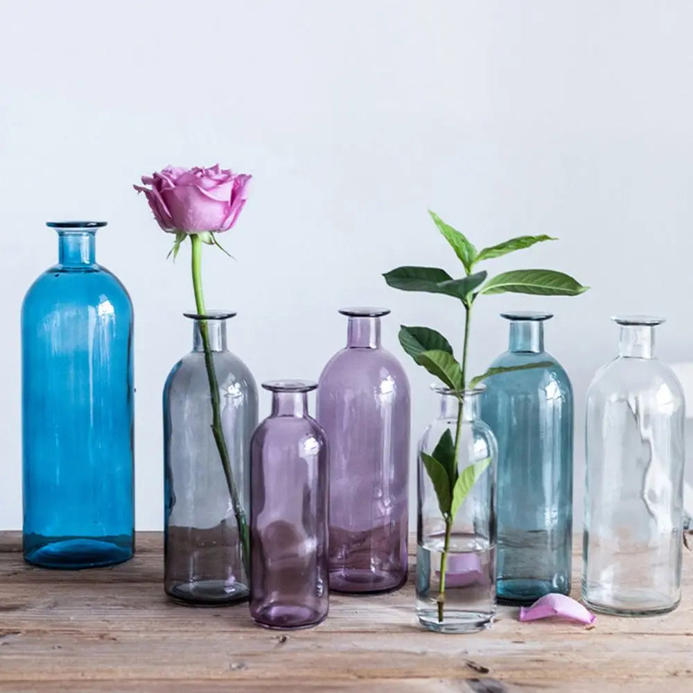 Transparent Glass Flower Vase | Modern Hydroponic Table Decor Glass Flower Vase Oasis Select