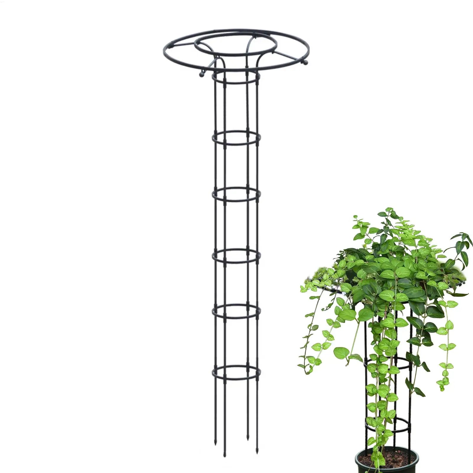 Trellis for Climbing Plants Outdoor Vegetable Vertical Support Frame Outdoor Gardening Support Trellis for Climbing Plants Oasis Select