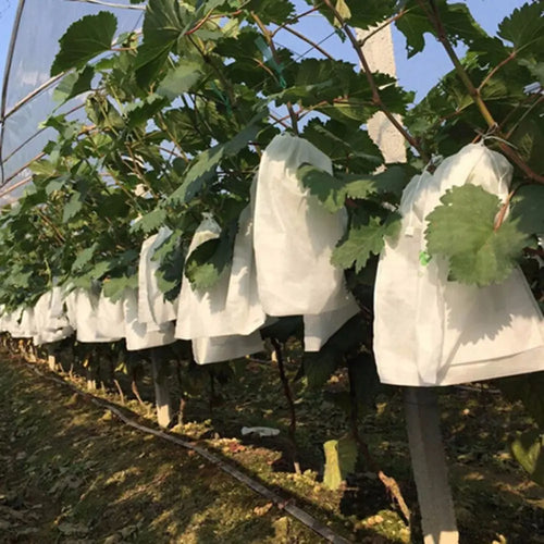 100-Pack Fruit Protection Bags – Anti-Bird & Insect Garden Mesh Fruit Protection Bags Oasis Select