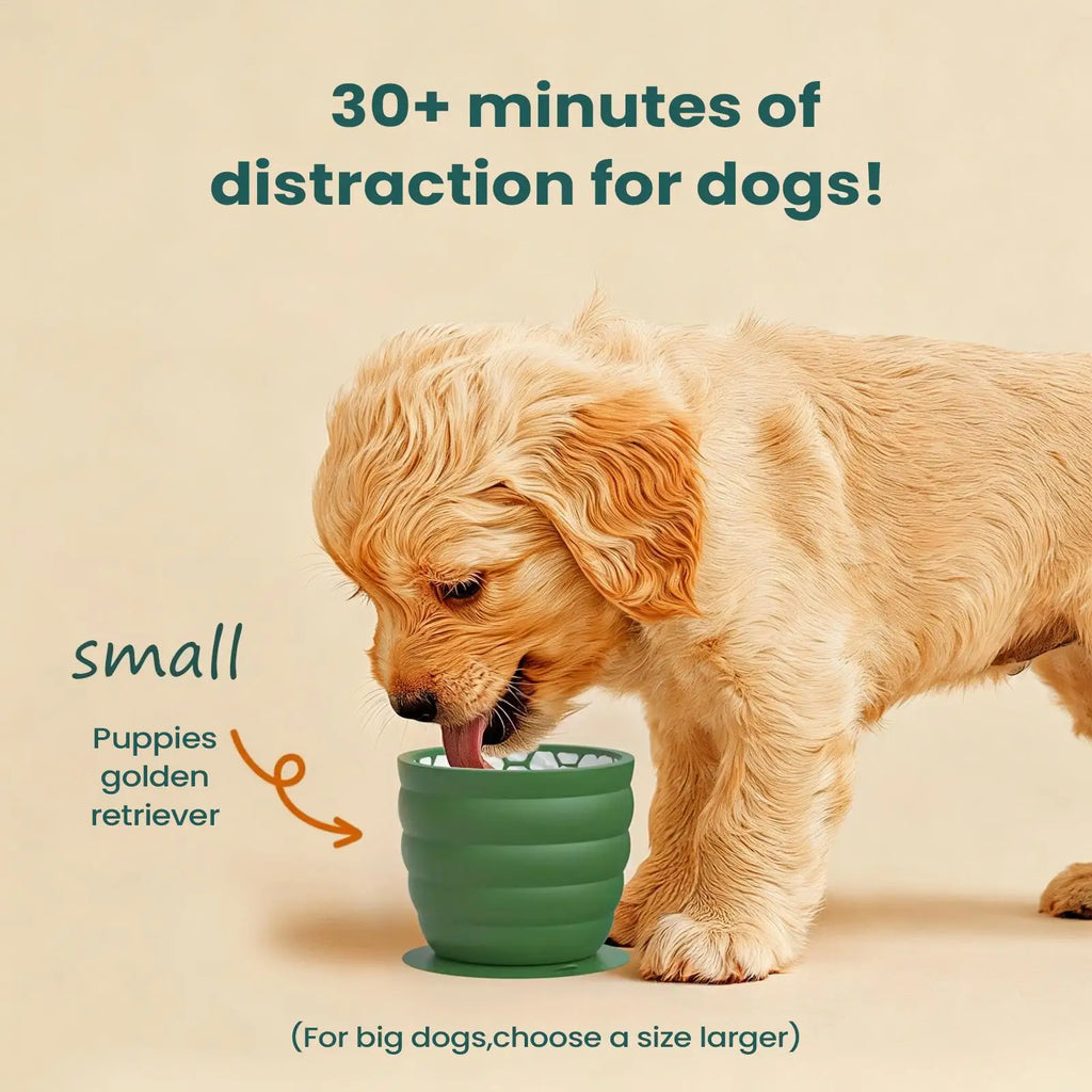 Silicone Slow Feeder Dog Bowl Anti-Choking Interactive Pet Dishes Slow Feeder Cat Bowl Promotes Healthy Digestion Anti-Slip Oasis Select