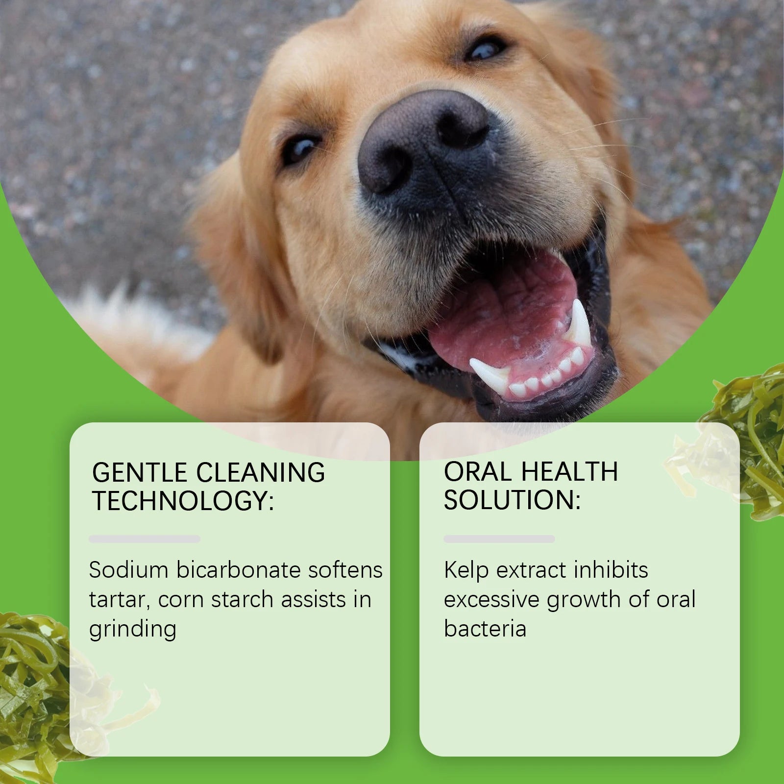Powder for Dogs Teeth Prevents Tartar Teeth Cleaning Fresh Breath Eliminate Oral Odors Dog Teeth Cleaning Powder with Spoon 100g Oasis Select