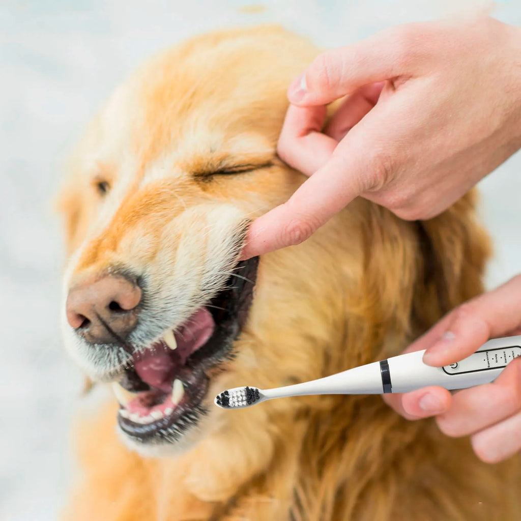 Ultrasonic Portable Electric Dog Toothbrush Professional Plaque Calculus Removal Teeth Whitening for Pet Dental Care Oasis Select