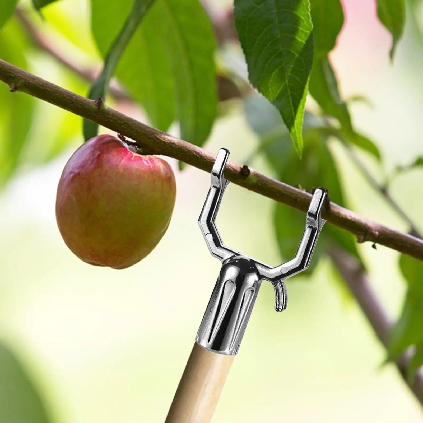 5Pcs Tree Branch Support Tree Limb Holder Fruit Tree Support Stand Black Green Tree Braces For Leaning Trees Plants Reusable Oasis Select