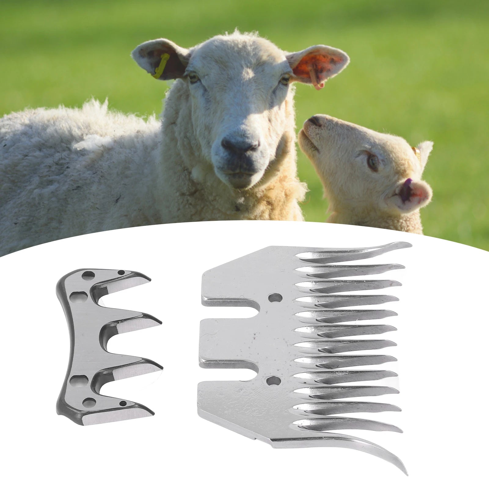 Sheep Shears Blade Curved 13 Teeth Wool Clipper Comb Cutter Trimmer Accessory Set Kit Sheep Trimmer Blade Oasis Select