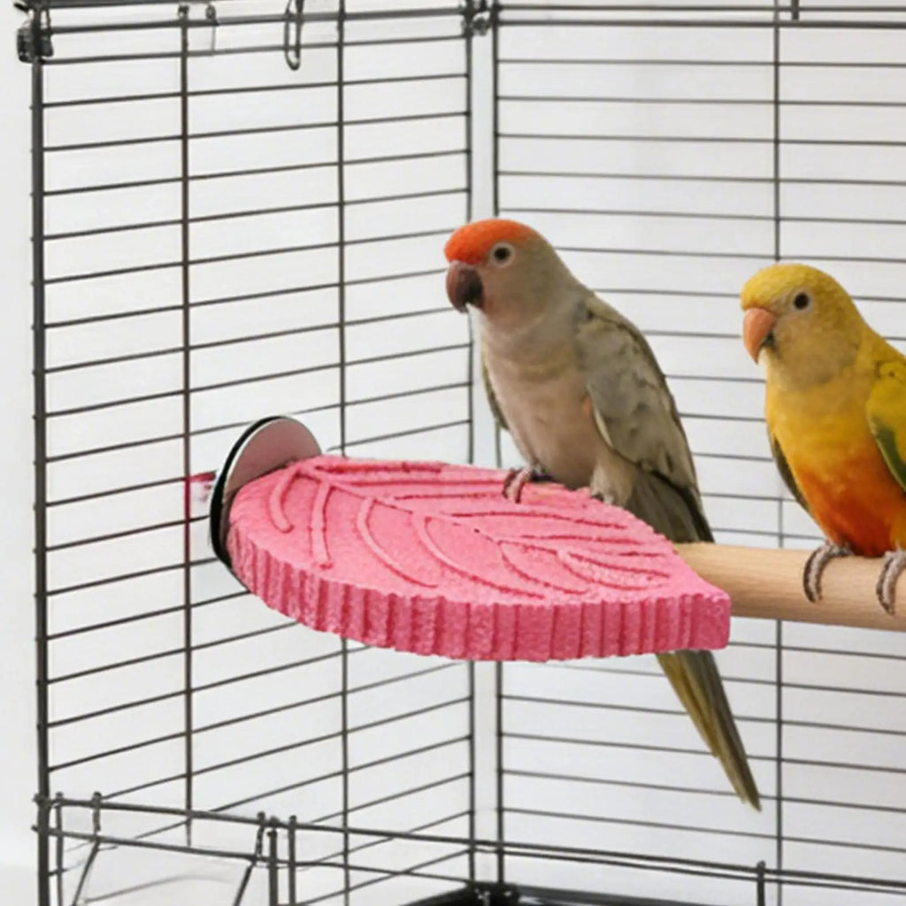 Cockatiel Perch Parrot Stand Toys Resin Bird Hamster Perch Platforms Stands Playground Bird Supplies Bird Cage Accessories Perch Oasis Select