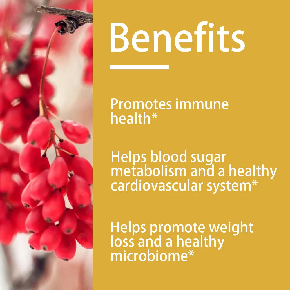 Berberine HCl 600mg – Blood Sugar, Metabolism & Heart Support Herbal Supplement Oasis Select