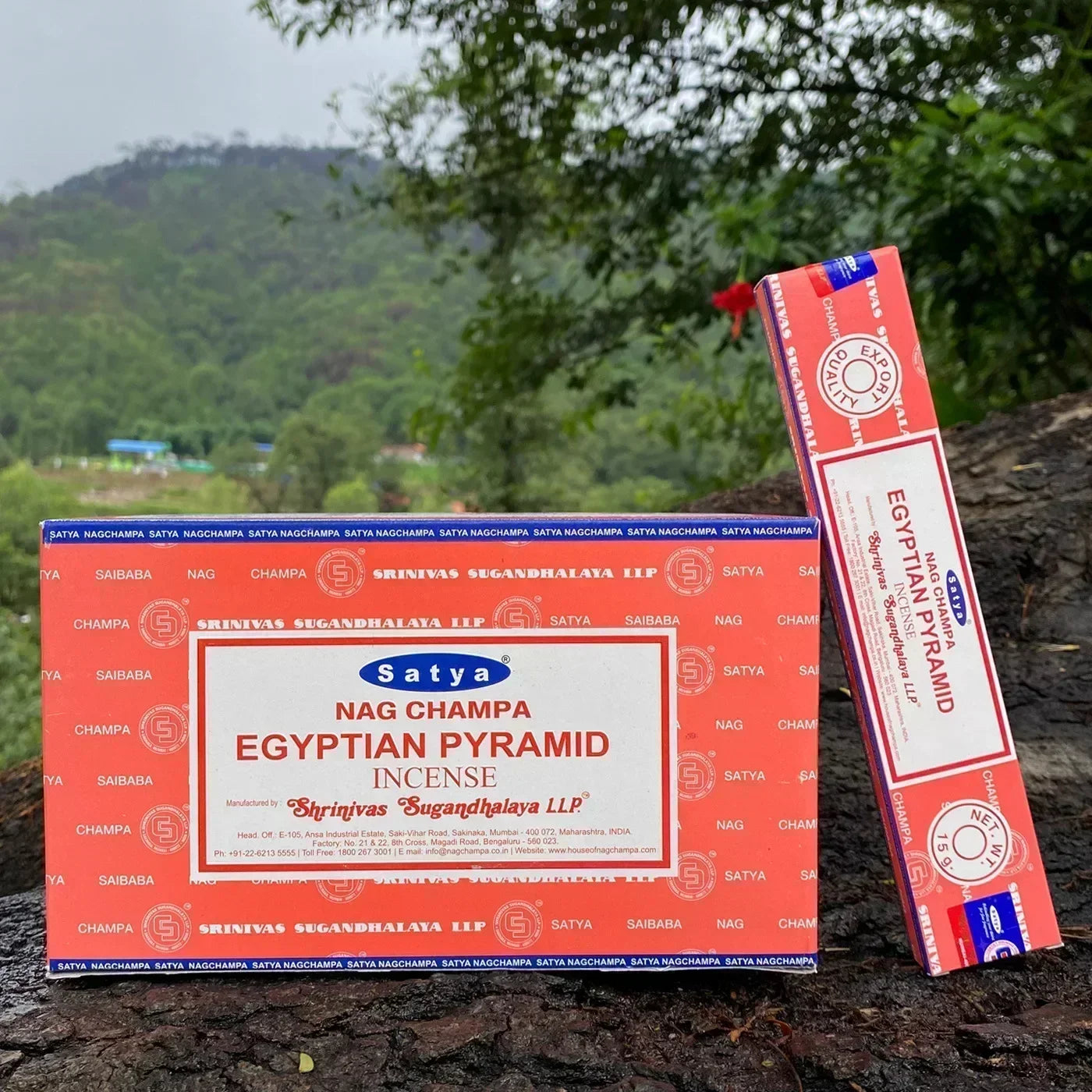 6/12boxes Dragon‘s Blood Incense Sticks Sleeping Aiding Tranquilize Mind Refreshing Scent Home Office Natural Sandalwood Satya Oasis Select EGYPTIAN PYRAMID 6 small boxex