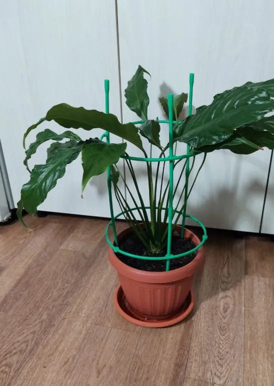 Reusable Modular Plant Support System for Tomato Plants and Vines ABS Garden Trellis Frame for Indoor and Outdoor Use Oasis Select
