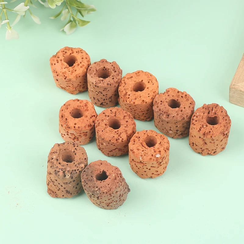 10Pcs Plant Ring Aquarium Fixed Watertank Filter Weightsholder Plants Fixing Tool Aquatic Media Pottery Gravityceramic Rings Oasis Select