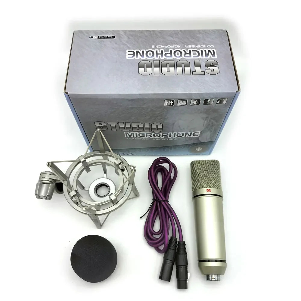 AyeBeau Condenser Microphone – Studio, PC & Karaoke Recording