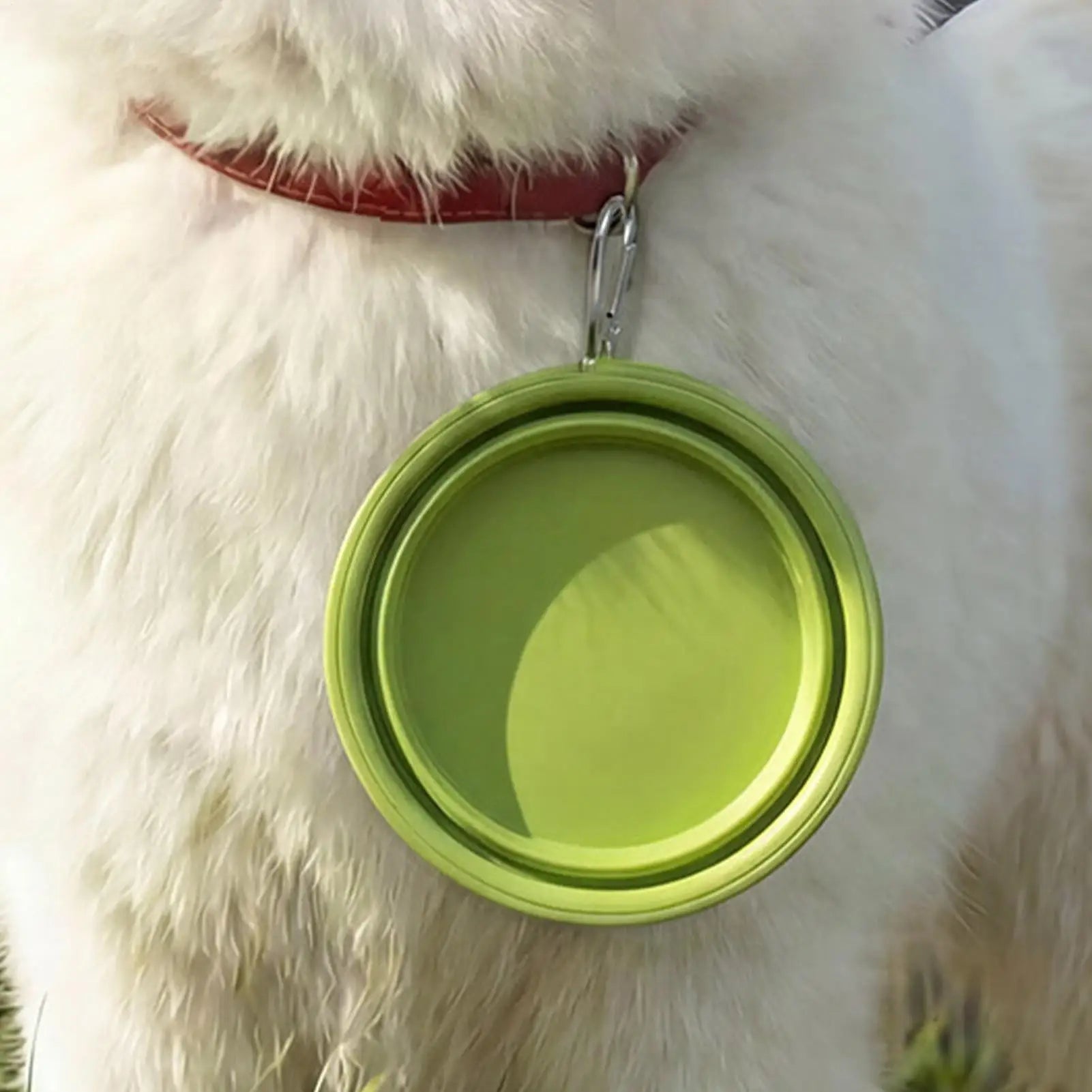 Portable Pet Food Bowl Cat and Dog Food Pet Silicone Foldable Bowl Portable Travel Outdoor Water Food Bowl Pet supplies Oasis Select