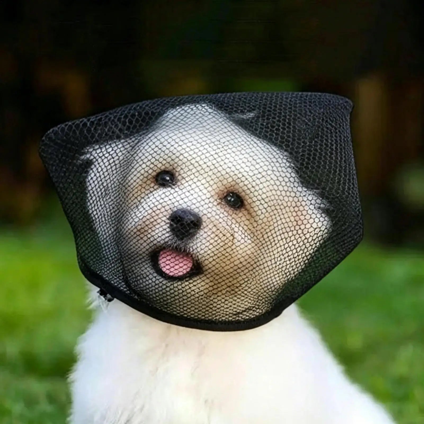 4Pcs Pet Mesh Head Cover for Dogs Anti-Eating Stray Headgear Breathable Portable Outdoor Walking Muzzle Sleeve Pet Accessories Oasis Select