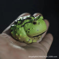 Tea Pet King Horned Frog Wealth-Attracting Frog Tea Play Fish Tank Landscaping Decoration Tea play Oasis Select Large Horned Frog