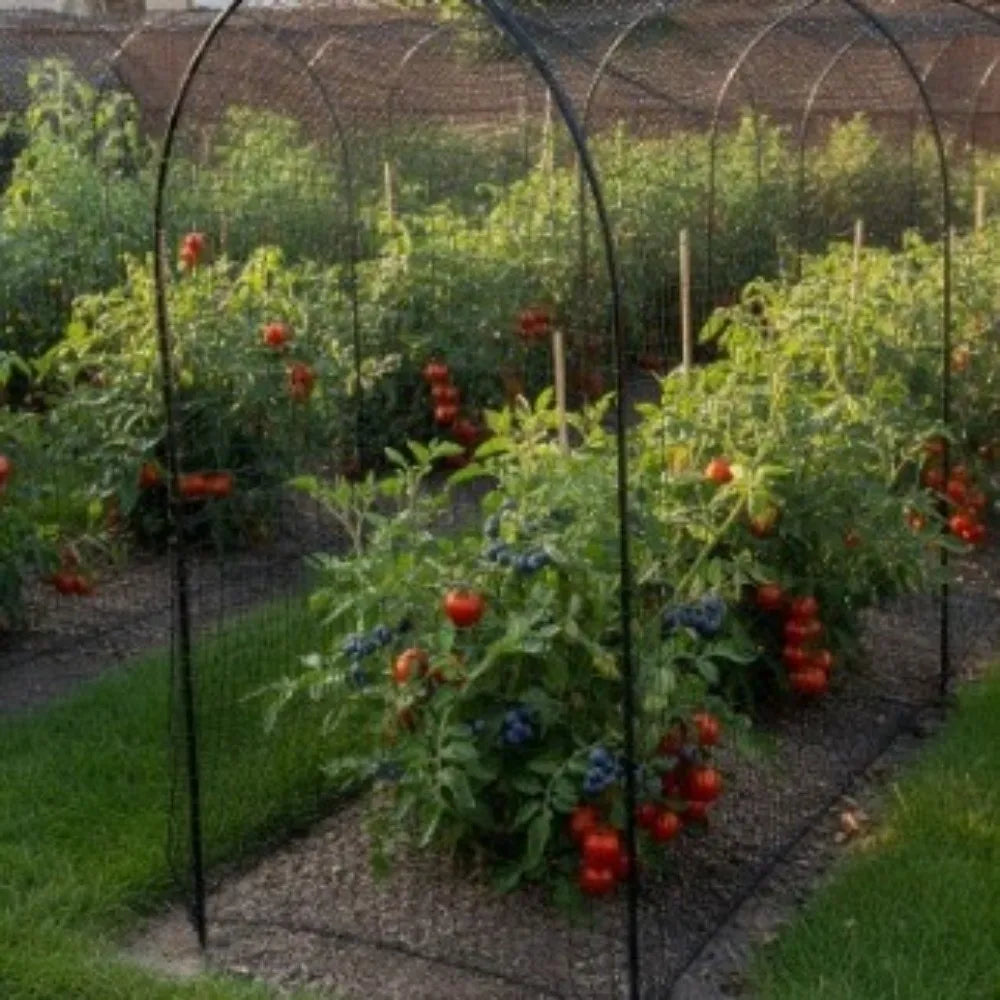 Anti Bird Garden Netting Mesh Reusable Heavy Duty Pond Fencing Mesh PE Material Black Plant Netting Vegetable Protection Oasis Select