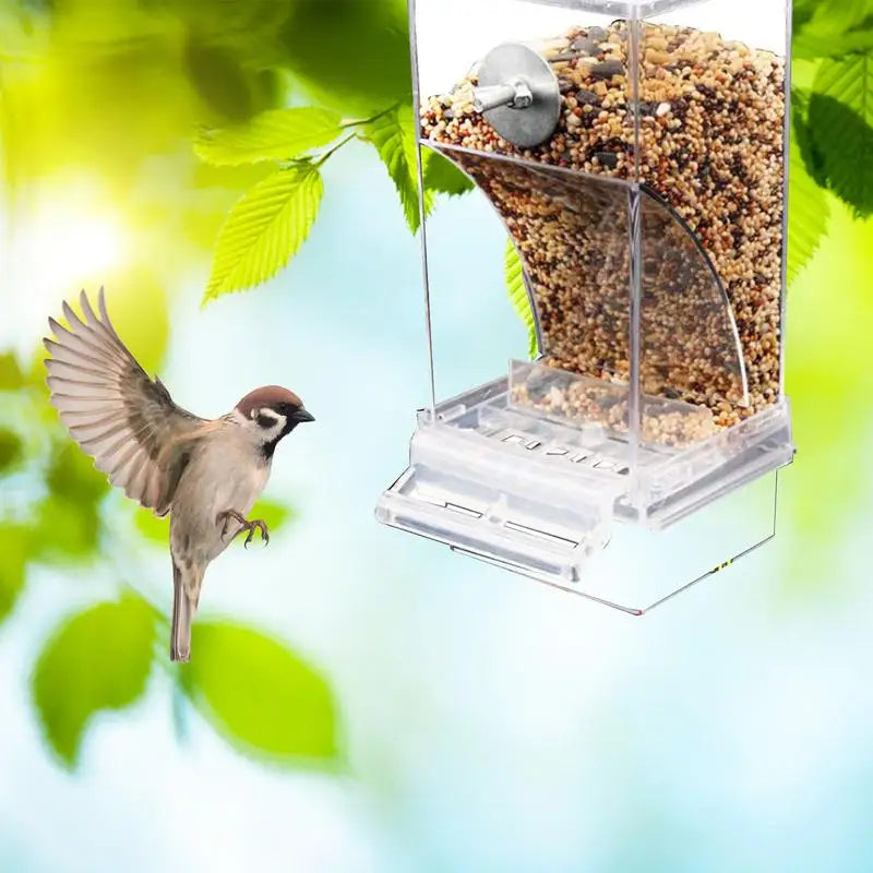 Automatic Parrot Feeder Drinker No messy Bird Feeders Acrylic Seed Food Container Cage Accessories For Small & Medium Parakeets Oasis Select