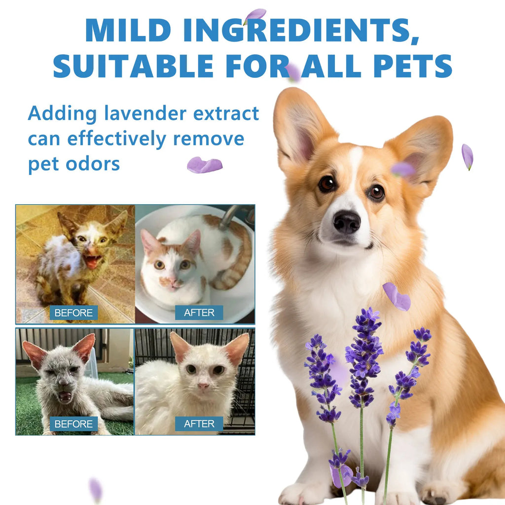 Pet Wash-Free Essence 20ml Sterilization & Odor Remover Waterless Cleaning Serum Softens Fur and Adds Shine Long Lasting Fresh Oasis Select