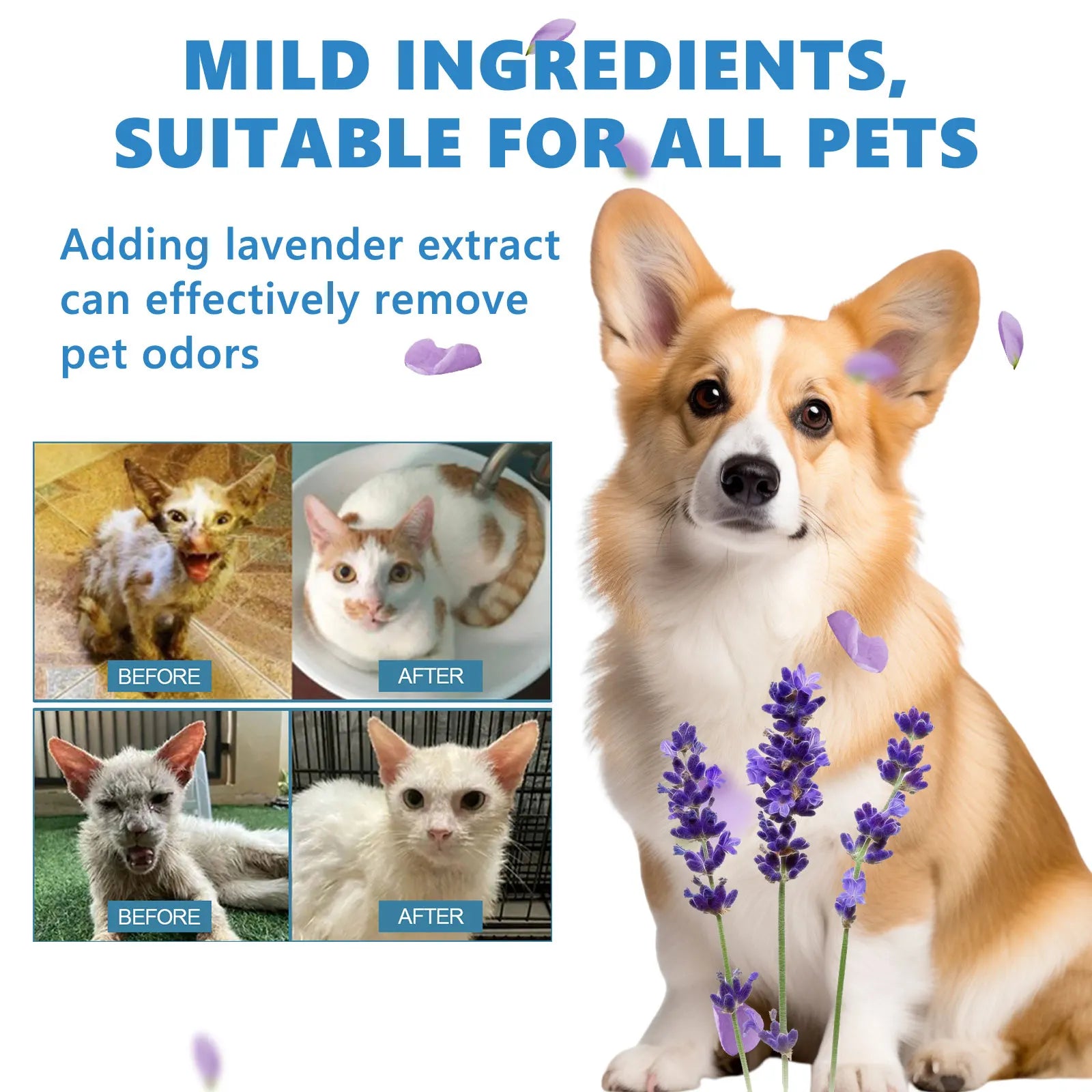 Pet Wash-Free Essence 20ml Sterilization & Odor Remover Waterless Cleaning Serum Softens Fur and Adds Shine Long Lasting Fresh Oasis Select