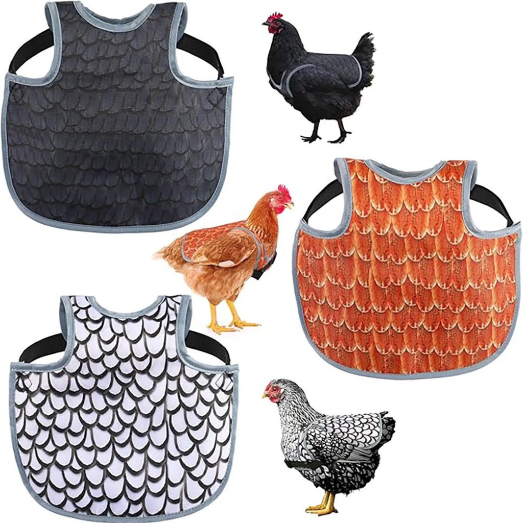 Chicken Saddle for Hens – Adjustable Feather Protector Chicken Hen Saddle Oasis Select