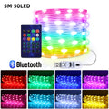 WS2812B RGBIC LED String 20m 10m 5m USB Fairy Lights Dreamcolor DIY Smart IC APP Bluetooth Remote Festival Christmas Tree Lights Oasis Select 5M 50LEDs