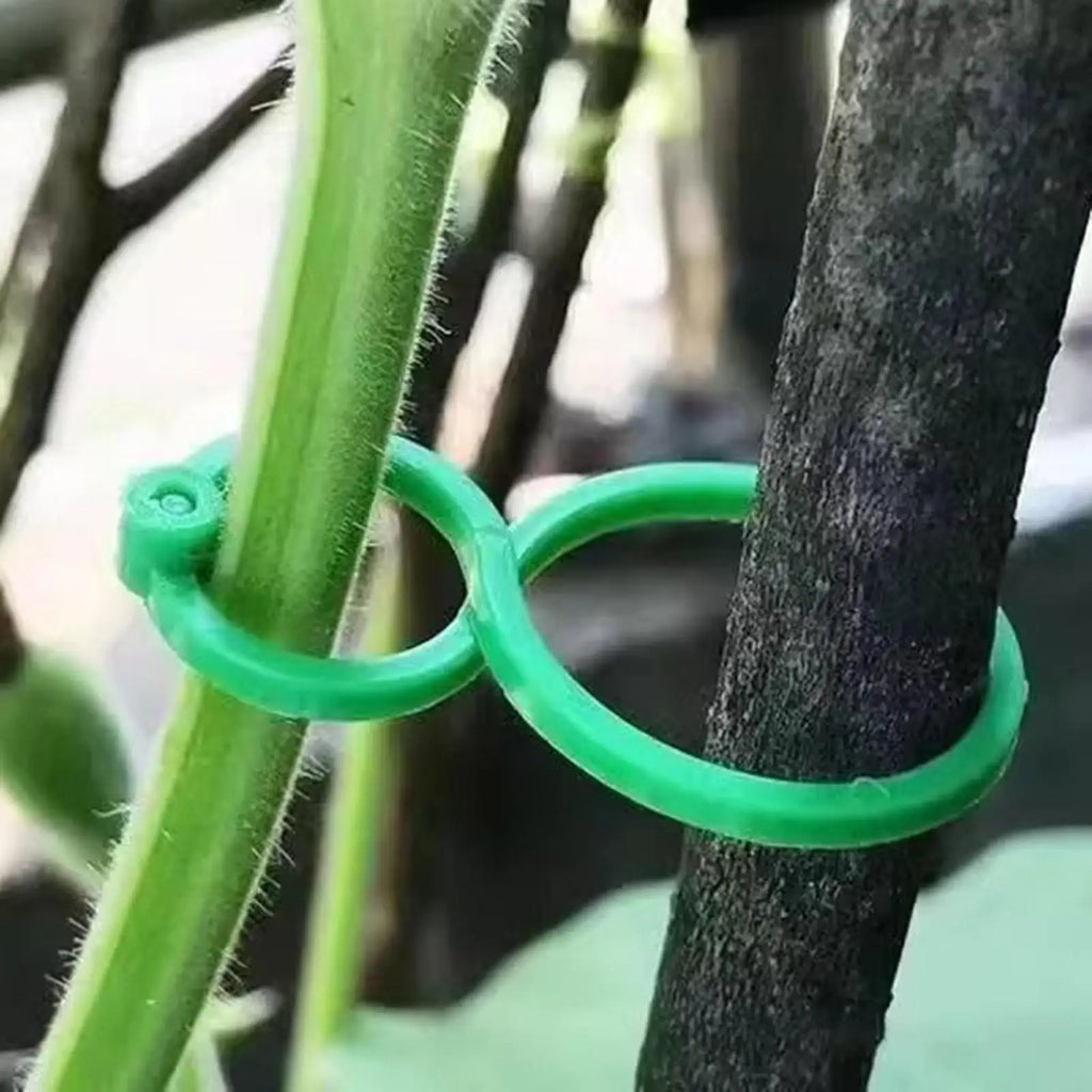 Vine Clips 100 Pieces Reusable Secure Flexible Plant Fixer Garden Plant Fixing Clips for Grape Fruits Flowers Indoor Outdoor