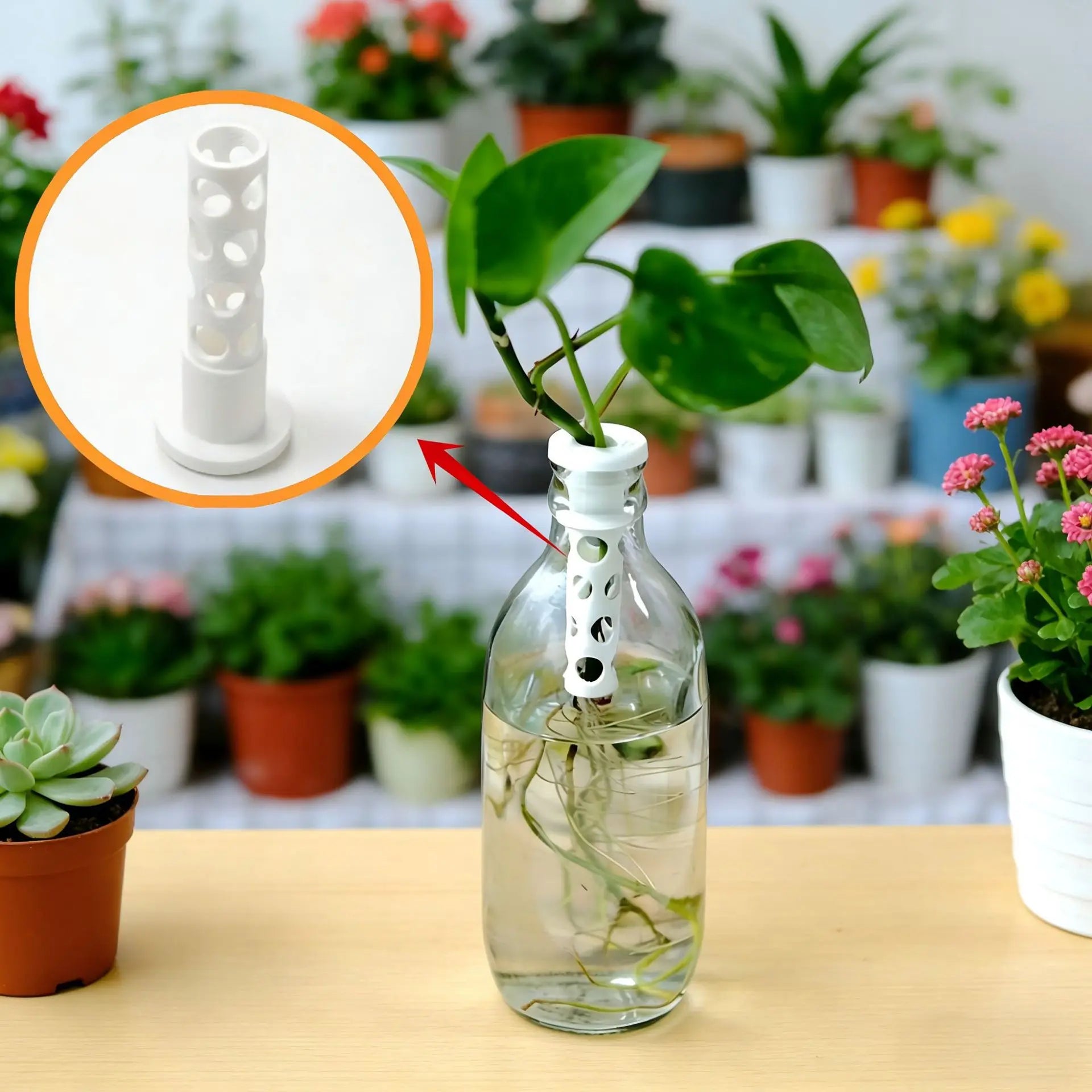 2pcs Hydroponic Plant Fixing Column 3D Printed Hollow Hole Water Plants Support Plants Root Fixer Bottle Vases Hydroponics Decor Oasis Select