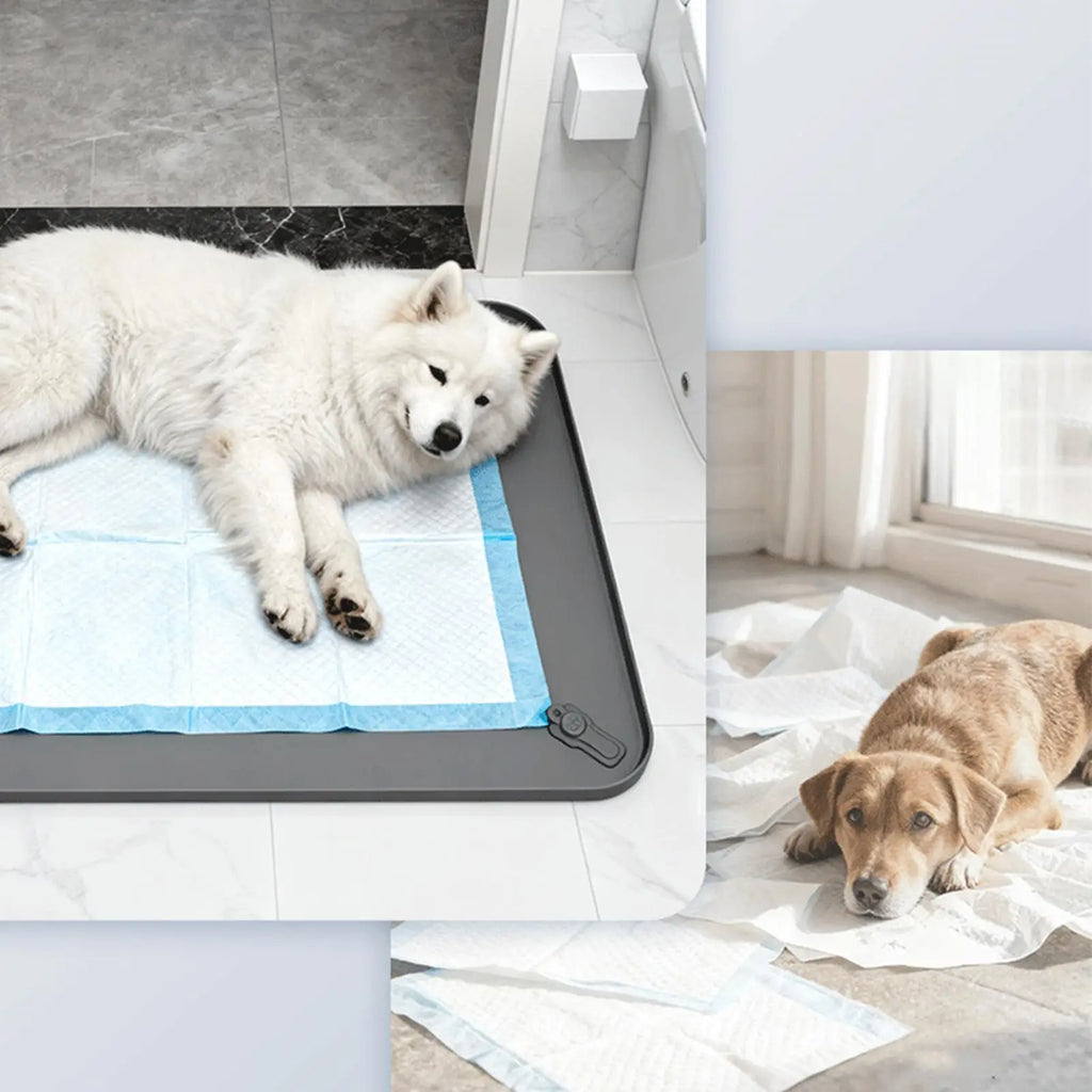 Silicone Pee Pad Holder Leak Proof Puppy Potty Training Pad Holder With Raised Edge Dog Training Pad Holder Pet Supplies Oasis Select