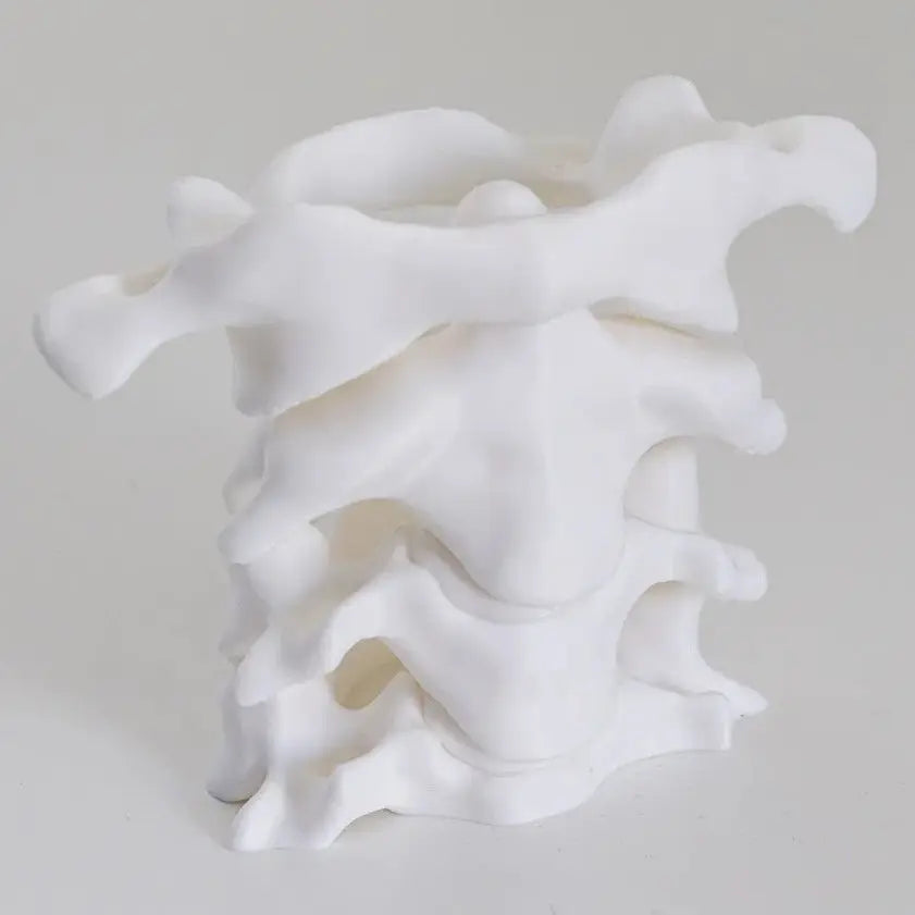 Simulation Spine Brush Holder 3D Printting Pen Holder Spine 3D Vase Table Storage Box Office Home Decor Desktop Organizer Oasis Select Elegant White