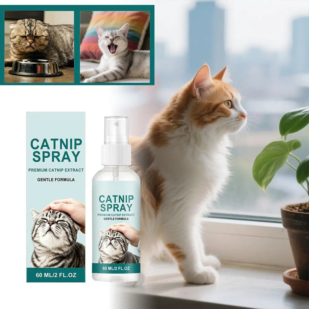 Active Catnip Spray for Cats Relieves Stress, Calming, Enhance Pet Vitality, Kitten Behaviour Spray Cats’ Fun Edible Mint Spary Oasis Select