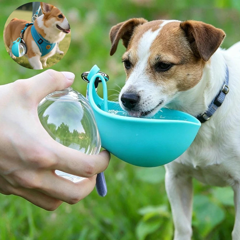 2 in 1 Portable Dog Water Bottle Built In Collapsible Silicone Bowl Leak-Proof Dog Drinker Water Feeder for Outdoor Walking Oasis Select
