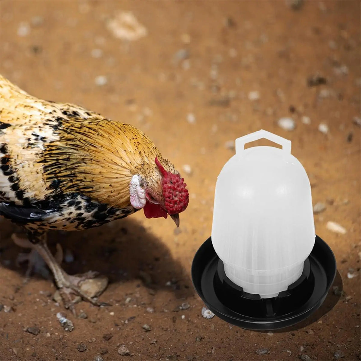 Automatic Chicken Waterer Poultry Drinker Duck Waterer for Duck Goose Pigeon Quail Livestock Coop Farm Feeding Drinking Oasis Select